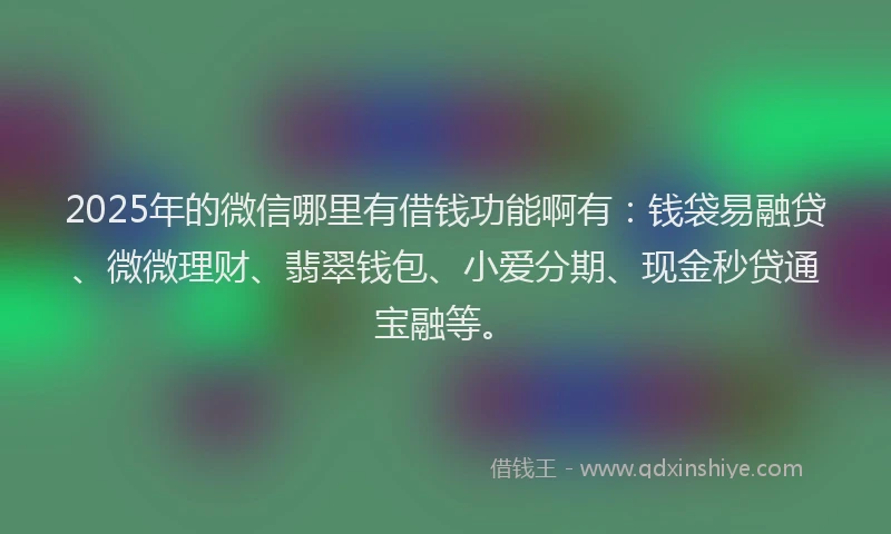 2025年的微信哪里有借钱功能啊有：钱袋易融贷、微微理财、翡翠钱包、小爱分期、现金秒贷通宝融等。