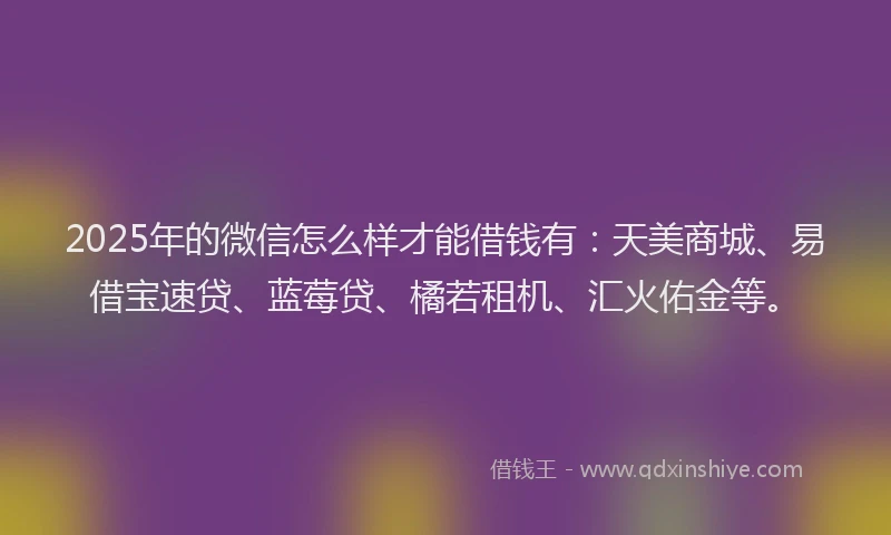 2025年的微信怎么样才能借钱有：天美商城、易借宝速贷、蓝莓贷、橘若租机、汇火佑金等。