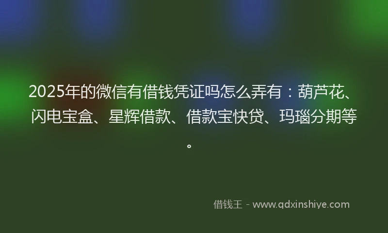 2025年的微信有借钱凭证吗怎么弄有：葫芦花、闪电宝盒、星辉借款、借款宝快贷、玛瑙分期等。