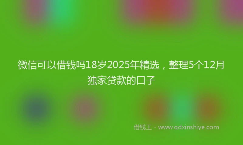 微信可以借钱吗18岁2025年精选，整理5个12月独家贷款的口子