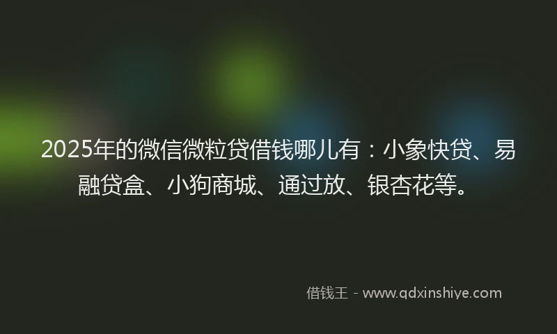 2025年的微信微粒贷借钱哪儿有：小象快贷、易融贷盒、小狗商城、通过放、银杏花等。