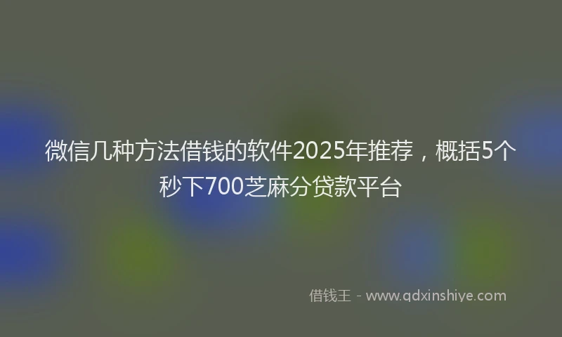 微信几种方法借钱的软件2025年推荐，概括5个秒下700芝麻分贷款平台