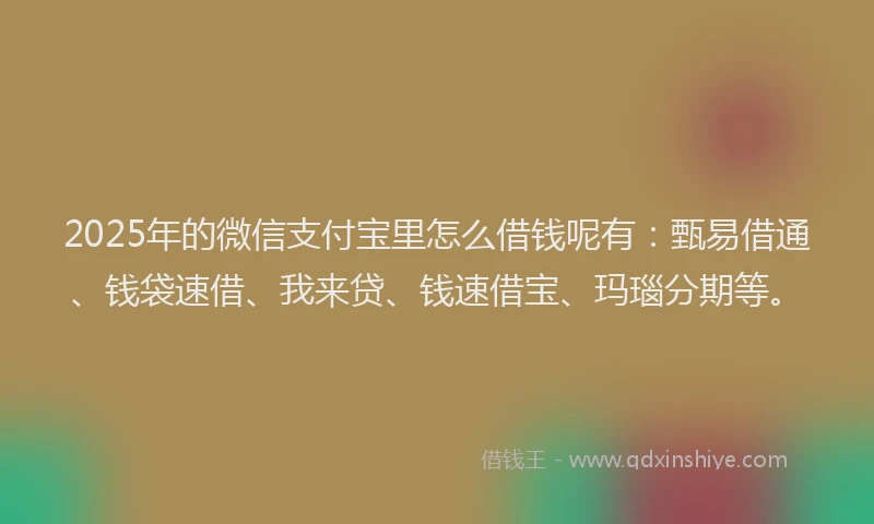 2025年的微信支付宝里怎么借钱呢有：甄易借通、钱袋速借、我来贷、钱速借宝、玛瑙分期等。