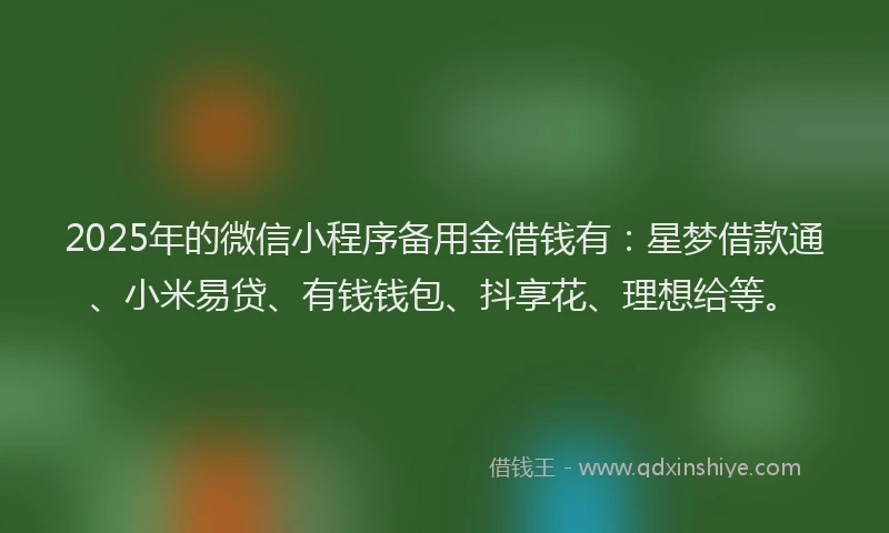 2025年的微信小程序备用金借钱有：星梦借款通、小米易贷、有钱钱包、抖享花、理想给等。