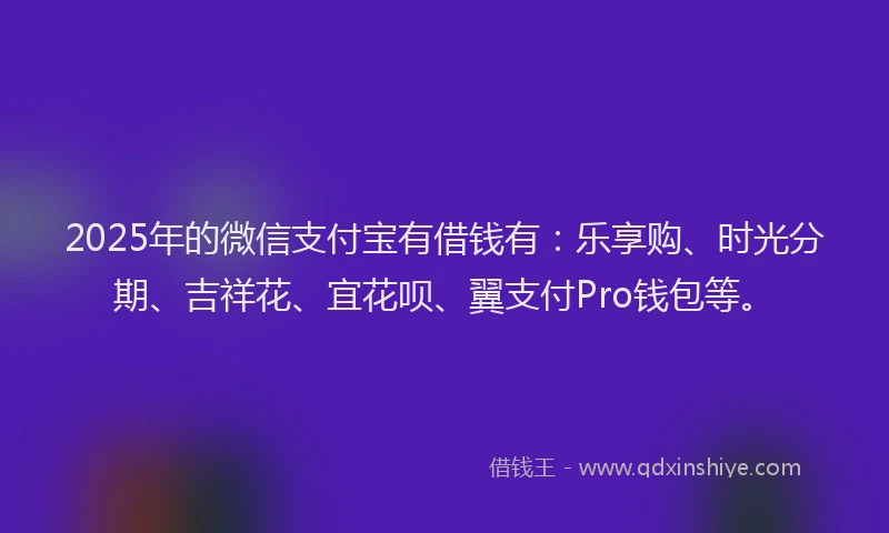 2025年的微信支付宝有借钱有：乐享购、时光分期、吉祥花、宜花呗、翼支付Pro钱包等。