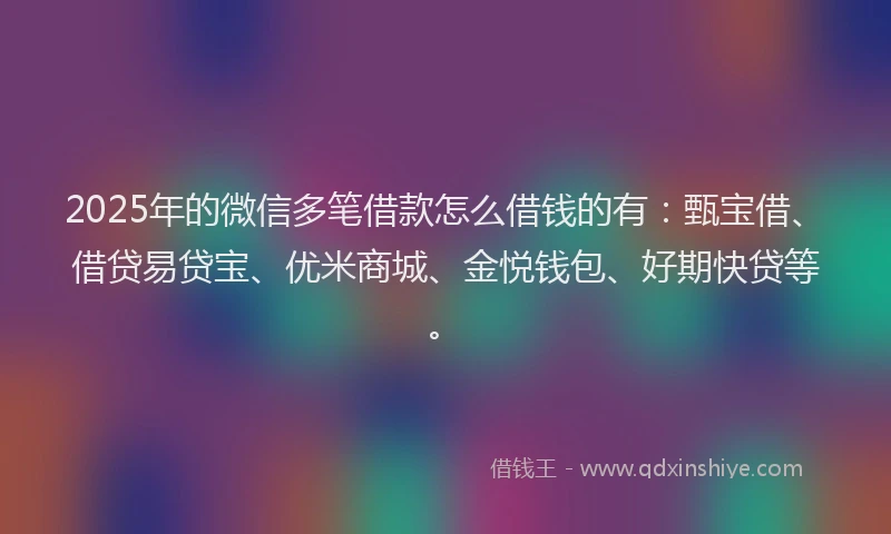 2025年的微信多笔借款怎么借钱的有：甄宝借、借贷易贷宝、优米商城、金悦钱包、好期快贷等。