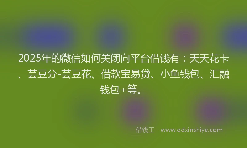 2025年的微信如何关闭向平台借钱有：天天花卡、芸豆分-芸豆花、借款宝易贷、小鱼钱包、汇融钱包+等。