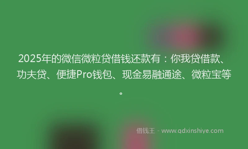 2025年的微信微粒贷借钱还款有：你我贷借款、功夫贷、便捷Pro钱包、现金易融通途、微粒宝等。