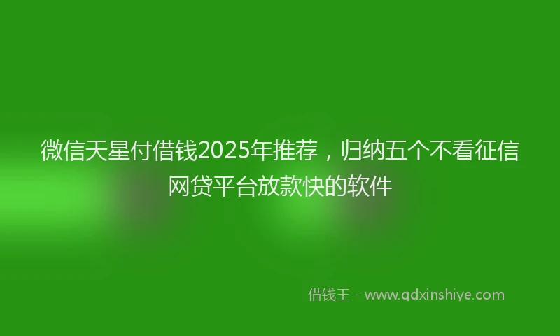微信天星付借钱2025年推荐，归纳五个不看征信网贷平台放款快的软件