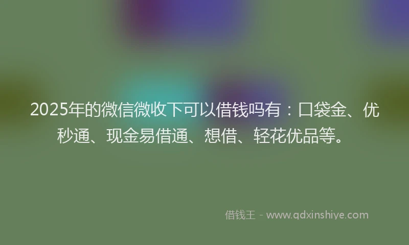 2025年的微信微收下可以借钱吗有：口袋金、优秒通、现金易借通、想借、轻花优品等。