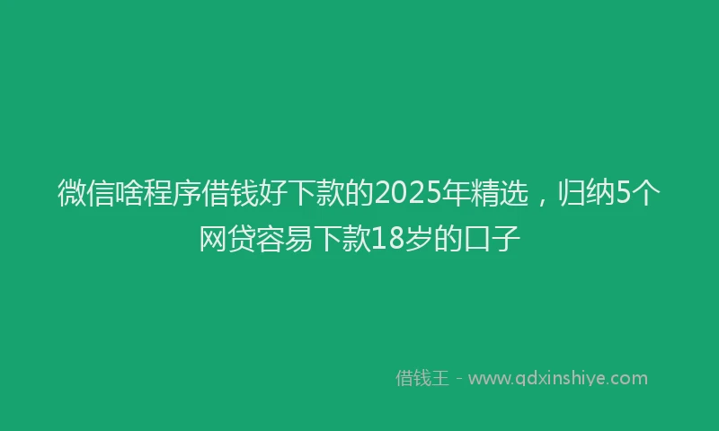 微信啥程序借钱好下款的2025年精选，归纳5个网贷容易下款18岁的口子