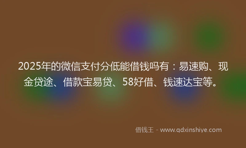 2025年的微信支付分低能借钱吗有：易速购、现金贷途、借款宝易贷、58好借、钱速达宝等。