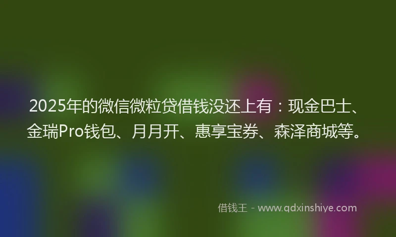 2025年的微信微粒贷借钱没还上有：现金巴士、金瑞Pro钱包、月月开、惠享宝券、森泽商城等。