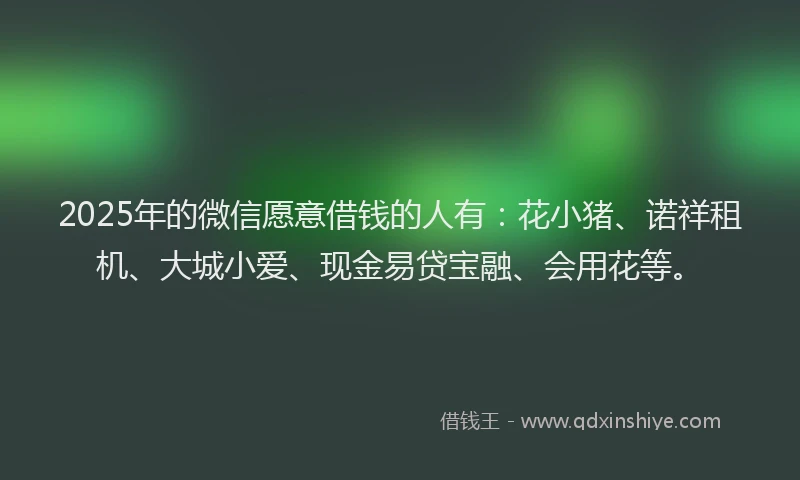 2025年的微信愿意借钱的人有：花小猪、诺祥租机、大城小爱、现金易贷宝融、会用花等。