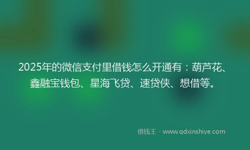 2025年的微信支付里借钱怎么开通有：葫芦花、鑫融宝钱包、星海飞贷、速贷侠、想借等。