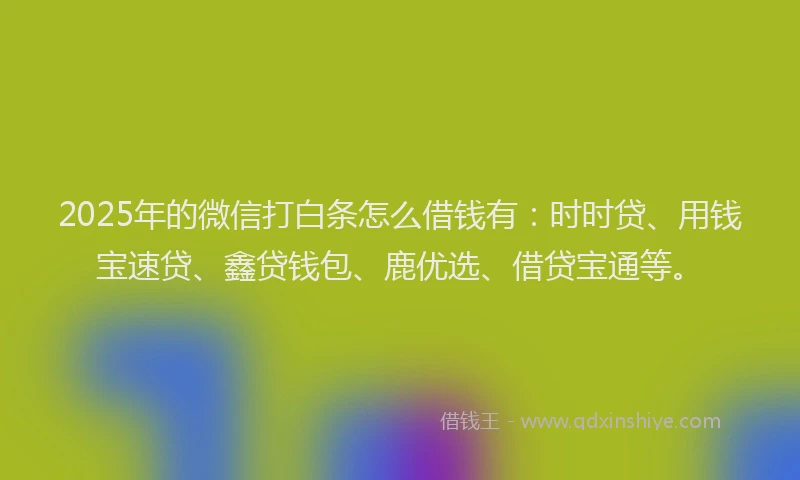 2025年的微信打白条怎么借钱有：时时贷、用钱宝速贷、鑫贷钱包、鹿优选、借贷宝通等。