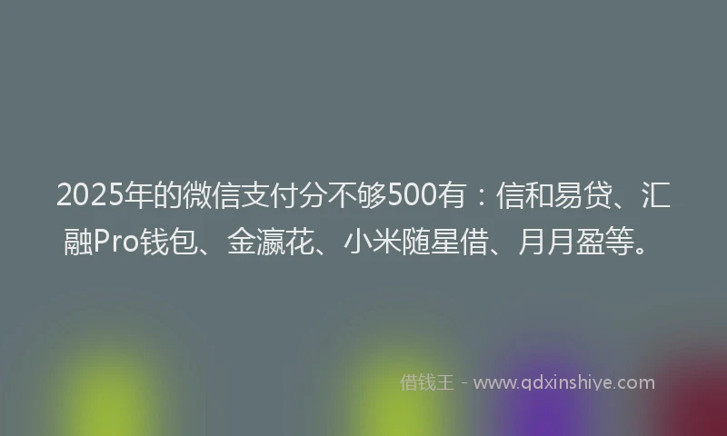 2025年的微信支付分不够500有：信和易贷、汇融Pro钱包、金瀛花、小米随星借、月月盈等。