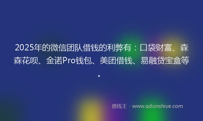 2025年的微信团队借钱的利弊有：口袋财富、森森花呗、金诺Pro钱包、美团借钱、易融贷宝盒等。
