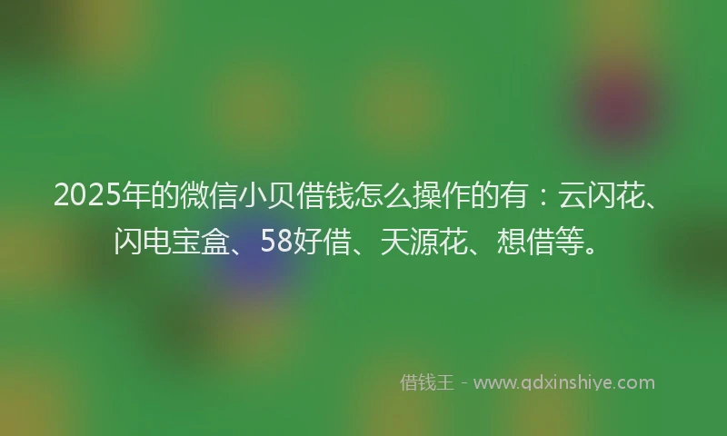 2025年的微信小贝借钱怎么操作的有：云闪花、闪电宝盒、58好借、天源花、想借等。