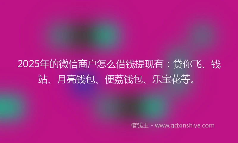 2025年的微信商户怎么借钱提现有：贷你飞、钱站、月亮钱包、便荔钱包、乐宝花等。