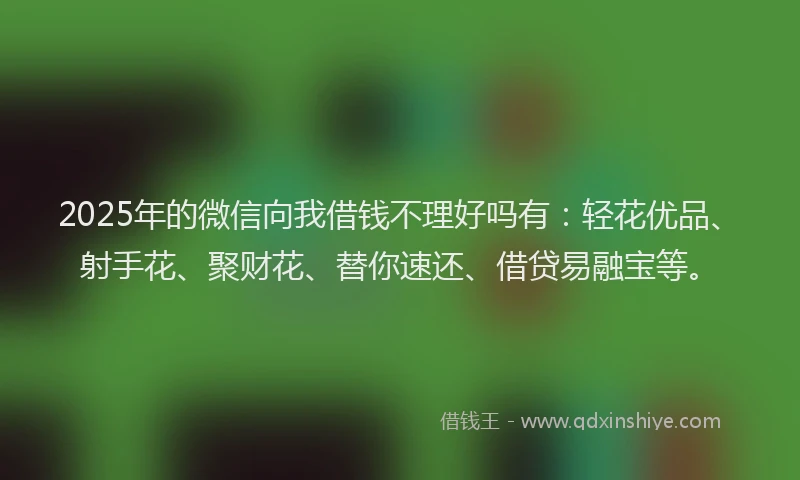 2025年的微信向我借钱不理好吗有：轻花优品、射手花、聚财花、替你速还、借贷易融宝等。