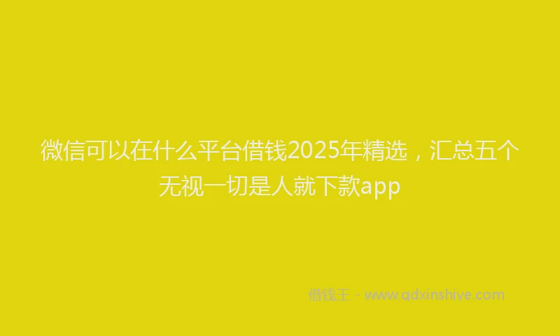 微信可以在什么平台借钱2025年精选，汇总五个无视一切是人就下款app