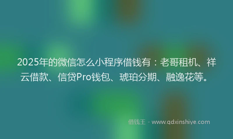 2025年的微信怎么小程序借钱有：老哥租机、祥云借款、信贷Pro钱包、琥珀分期、融逸花等。