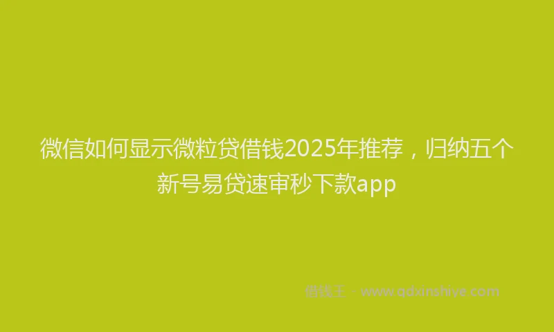 微信如何显示微粒贷借钱2025年推荐，归纳五个新号易贷速审秒下款app