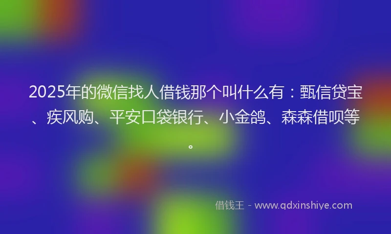 2025年的微信找人借钱那个叫什么有：甄信贷宝、疾风购、平安口袋银行、小金鸽、森森借呗等。