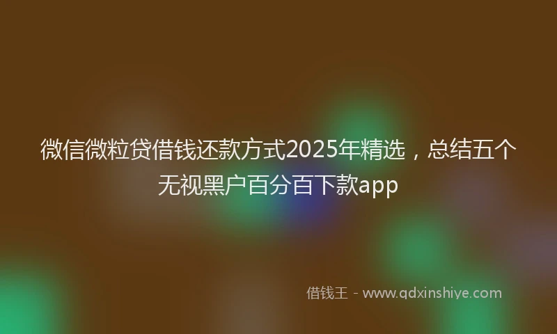 微信微粒贷借钱还款方式2025年精选，总结五个无视黑户百分百下款app