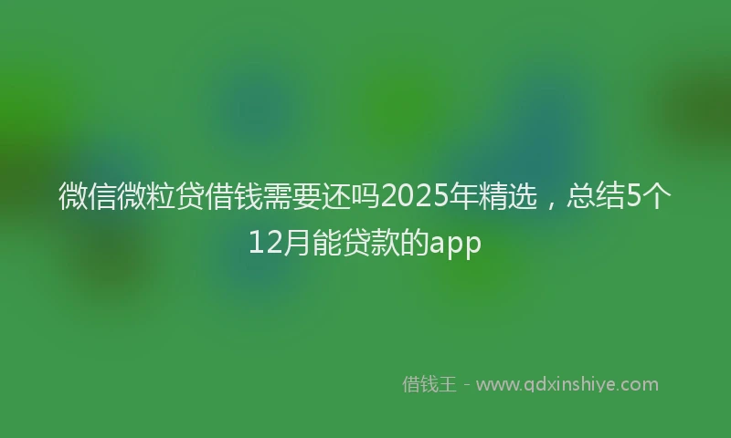 微信微粒贷借钱需要还吗2025年精选，总结5个12月能贷款的app