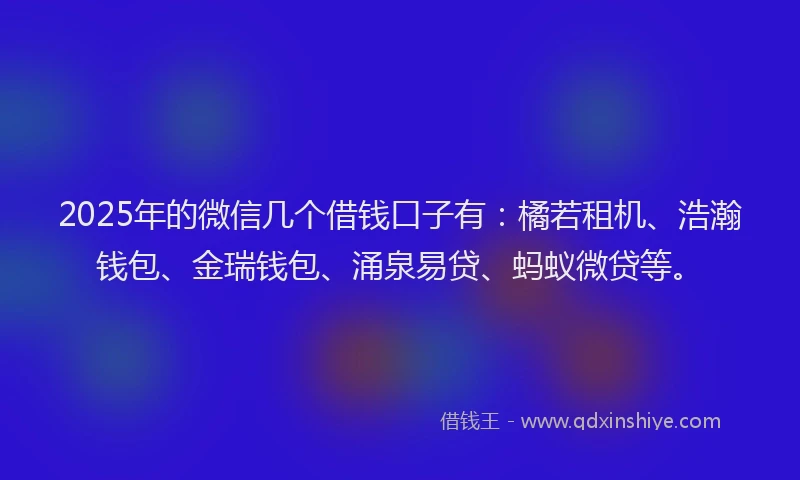 2025年的微信几个借钱口子有：橘若租机、浩瀚钱包、金瑞钱包、涌泉易贷、蚂蚁微贷等。