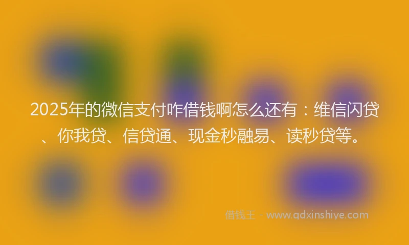 2025年的微信支付咋借钱啊怎么还有：维信闪贷、你我贷、信贷通、现金秒融易、读秒贷等。