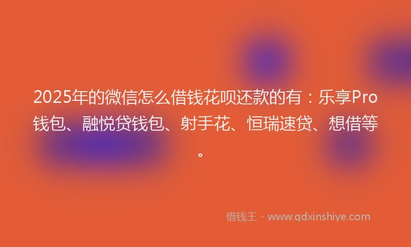 2025年的微信怎么借钱花呗还款的有：乐享Pro钱包、融悦贷钱包、射手花、恒瑞速贷、想借等。