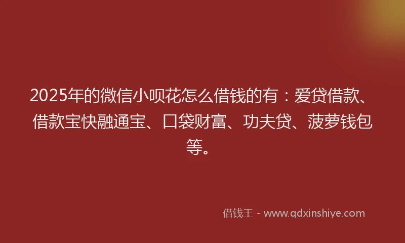 2025年的微信小呗花怎么借钱的有：爱贷借款、借款宝快融通宝、口袋财富、功夫贷、菠萝钱包等。