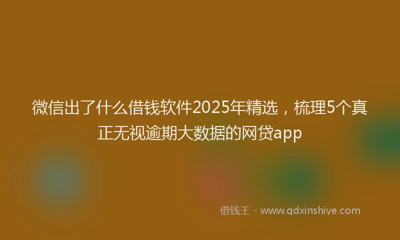 微信出了什么借钱软件2025年精选，梳理5个真正无视逾期大数据的网贷app