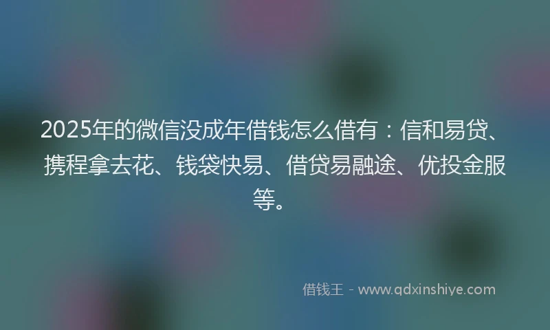2025年的微信没成年借钱怎么借有：信和易贷、携程拿去花、钱袋快易、借贷易融途、优投金服等。