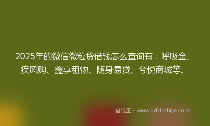 2025年的微信微粒贷借钱怎么查询有：呼吸金、疾风购、鑫享租物、随身易贷、兮悦商城等。