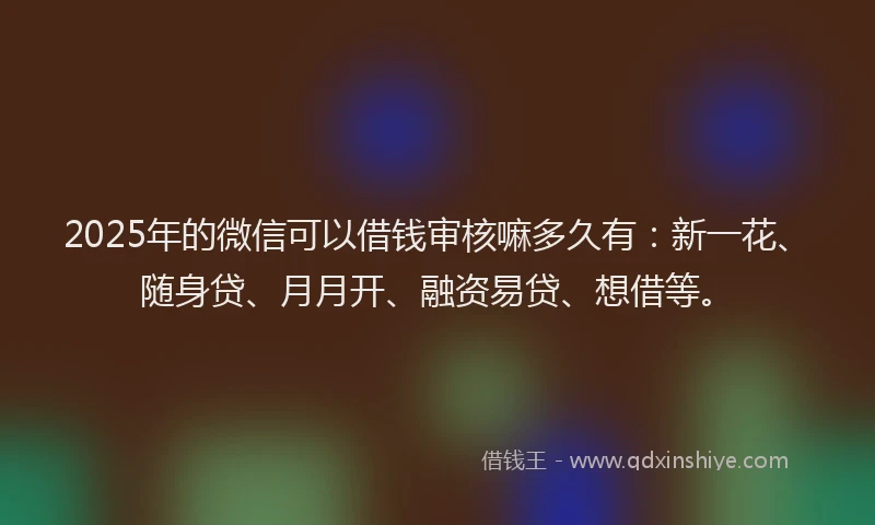 2025年的微信可以借钱审核嘛多久有：新一花、随身贷、月月开、融资易贷、想借等。