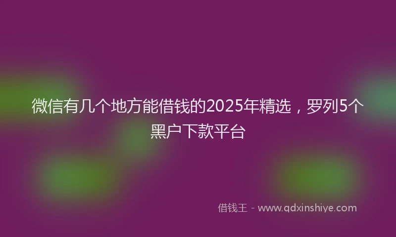 微信有几个地方能借钱的2025年精选，罗列5个黑户下款平台
