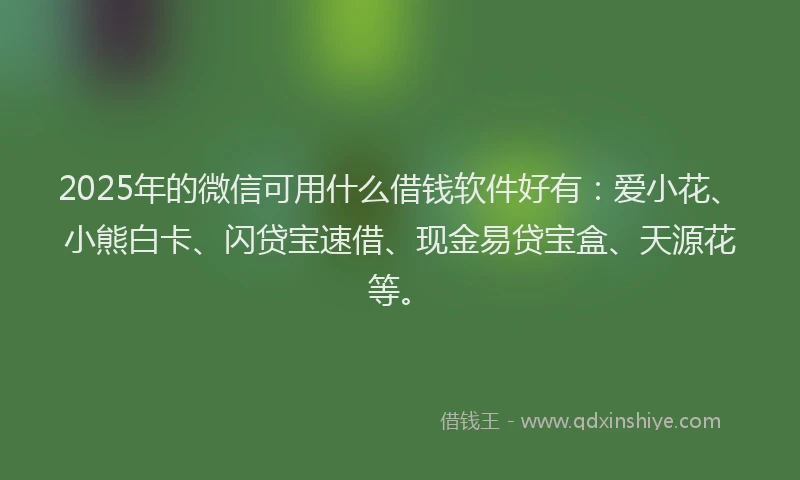 2025年的微信可用什么借钱软件好有：爱小花、小熊白卡、闪贷宝速借、现金易贷宝盒、天源花等。