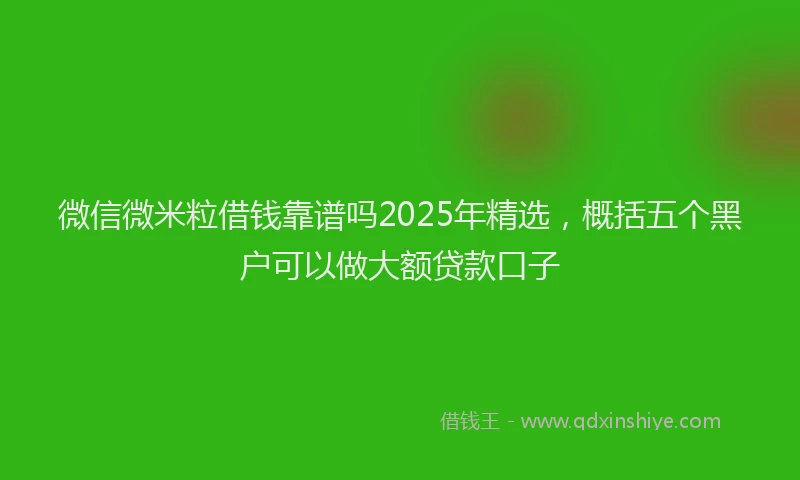 微信微米粒借钱靠谱吗2025年精选，概括五个黑户可以做大额贷款口子