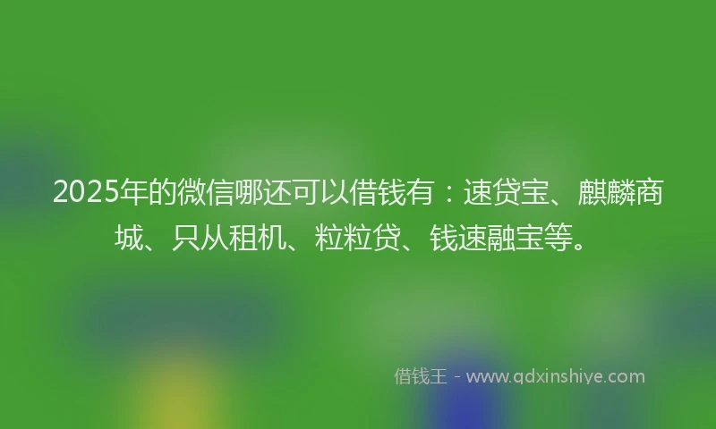 2025年的微信哪还可以借钱有：速贷宝、麒麟商城、只从租机、粒粒贷、钱速融宝等。