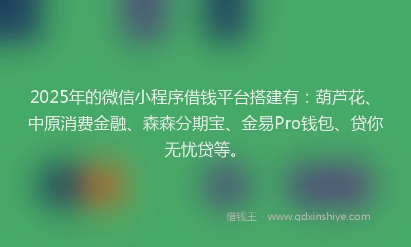2025年的微信小程序借钱平台搭建有：葫芦花、中原消费金融、森森分期宝、金易Pro钱包、贷你无忧贷等。