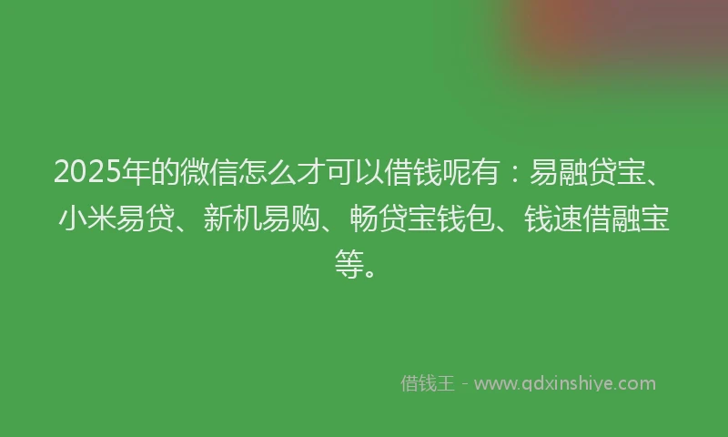 2025年的微信怎么才可以借钱呢有：易融贷宝、小米易贷、新机易购、畅贷宝钱包、钱速借融宝等。