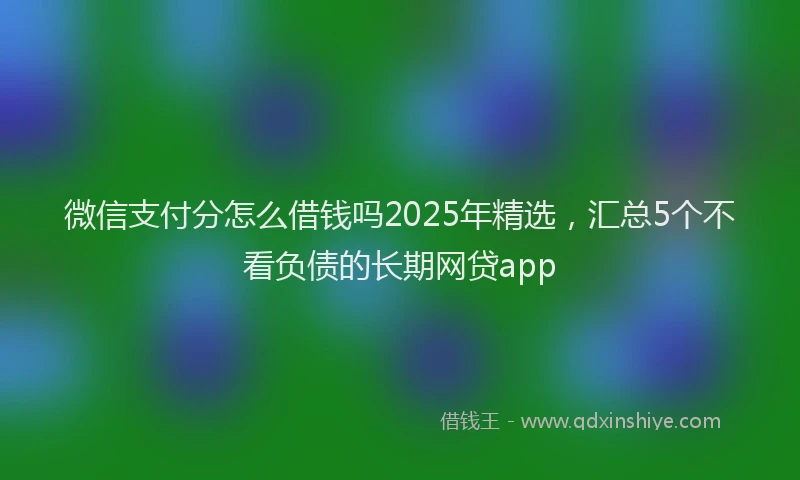 微信支付分怎么借钱吗2025年精选，汇总5个不看负债的长期网贷app