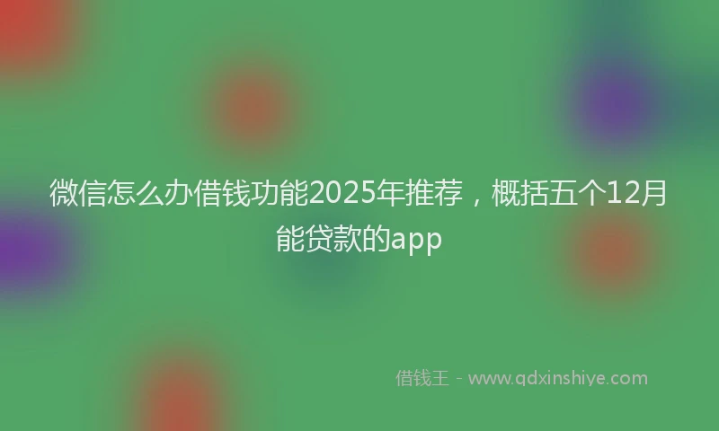 微信怎么办借钱功能2025年推荐，概括五个12月能贷款的app