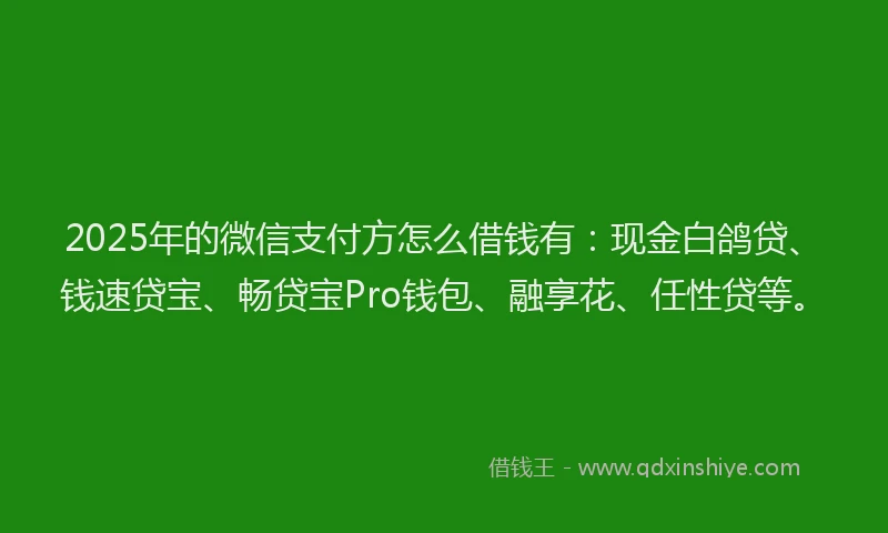 2025年的微信支付方怎么借钱有：现金白鸽贷、钱速贷宝、畅贷宝Pro钱包、融享花、任性贷等。