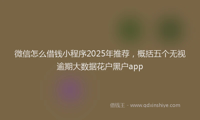 微信怎么借钱小程序2025年推荐，概括五个无视逾期大数据花户黑户app