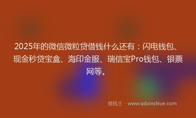 2025年的微信微粒贷借钱什么还有：闪电钱包、现金秒贷宝盒、海印金服、瑞信宝Pro钱包、银票网等。